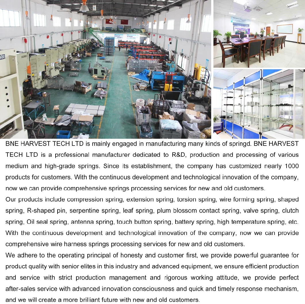 China Spring Factory Customized Car Trunk Compression Spring Torsion Spring Extension Tension Spring